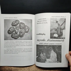 เพชรพญานาค เหล็กไหลพญานาค...ในศิลาคลอน รูปที่ 8