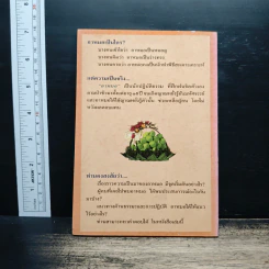 ธรรมปฏิบัติของ อาหมอ ผู้สานต่อเส้นทางธรรม ฉบับรวมเล่ม รูปที่ 2