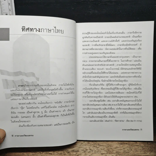 ภาษาและวัฒนธรรม - วิศนุ ทรัพย์สุวรรณ รูปที่ 9