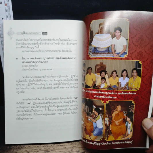 อยากเจริญ มันต้องมีตัวช่วย - ปัณณวิชญ์ พิบูลธนาภิรมย์ รูปที่ 8