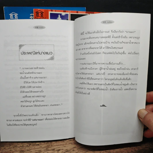 ชื่อนี้มีที่มา เล่ม 1-3 - พันธลักษณ์ รูปที่ 9