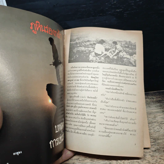 ท่องโลก ฉบับแนะนำ ภูหินร่องกล้า รูปที่ 6