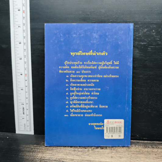 ชินบัญชรช่วยไทย - พล.ต.ต.พิบูลย์ ภาษวัชร์ รูปที่ 2