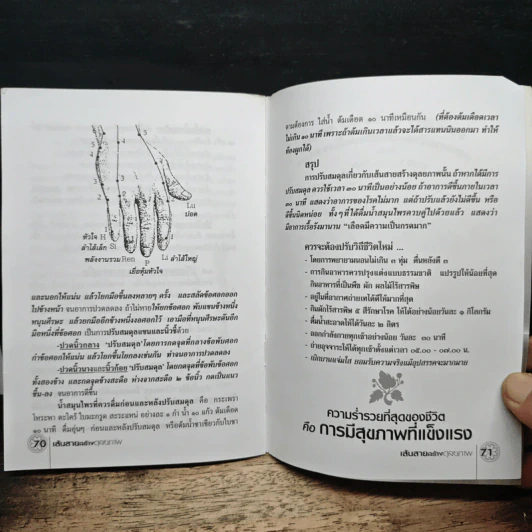 เส้นสายสร้างดุลยภาพ - ล้อเกวียน รูปที่ 9