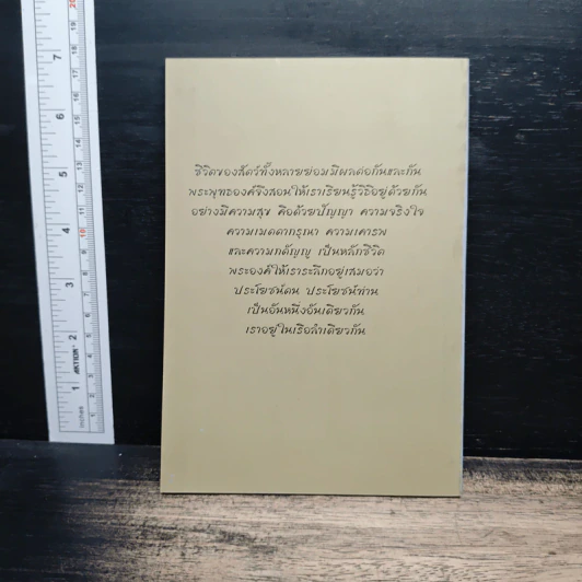 ลำเดียวกัน - ชยสาโร ภิกขุ รูปที่ 2