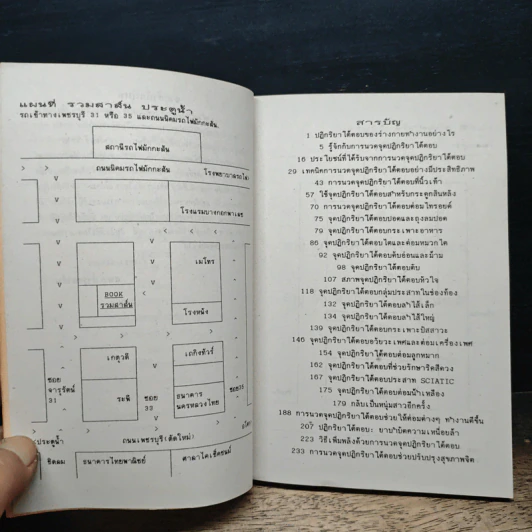 การนวดฝ่าเท้า (จุดปฏิกริยาโต้ตอบ) - ไพลิน รูปที่ 7