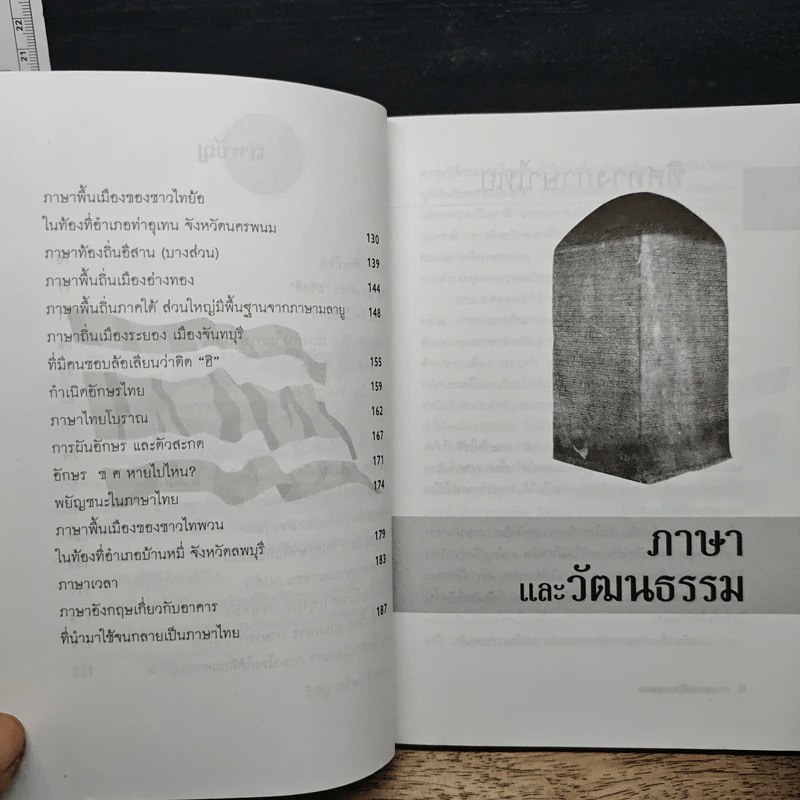ภาษาและวัฒนธรรม - วิศนุ ทรัพย์สุวรรณ รูปที่ 8