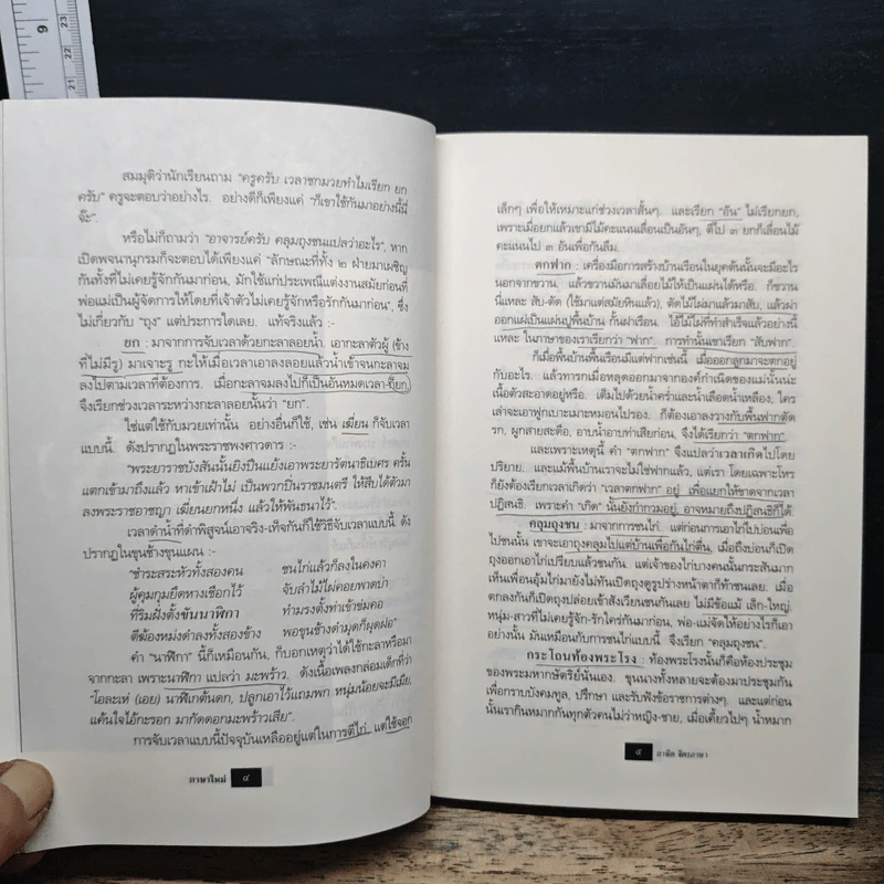 ภาษาใหม่ - ภาษิต จิตรภาษา รูปที่ 10