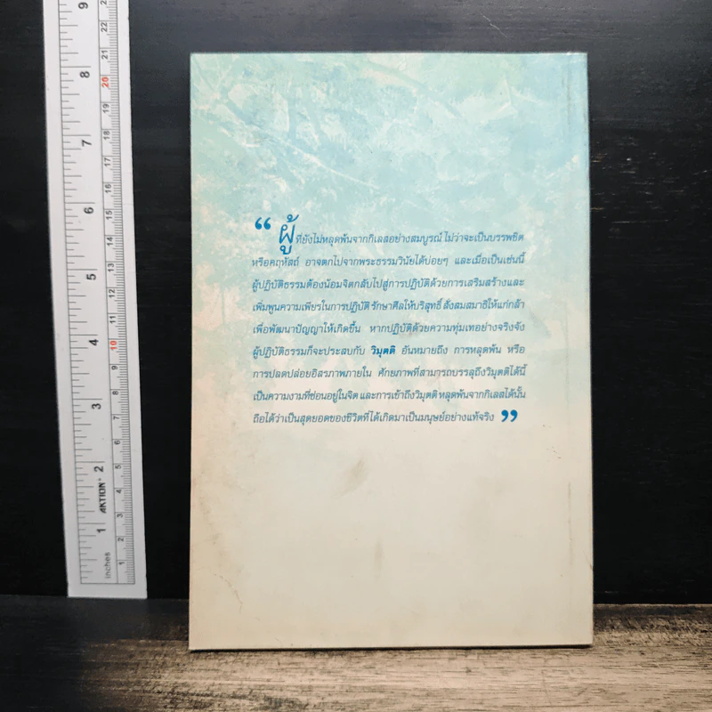 ความงามแห่งจิต เล่ม 1 - พระกัมมัฏฐานาจารย์ พระปัณฑิตาภิวงศ์ รูปที่ 2