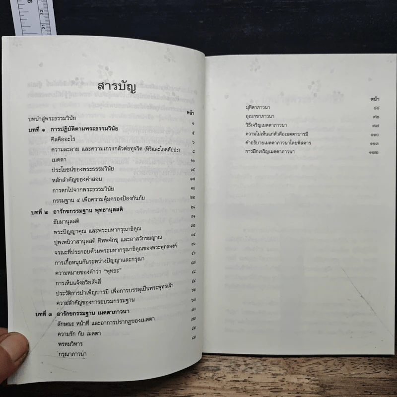 ความงามแห่งจิต เล่ม 1 - พระกัมมัฏฐานาจารย์ พระปัณฑิตาภิวงศ์ รูปที่ 7