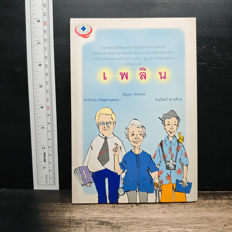 เพลิน - ปัญญา สอนคม รูปที่ 1