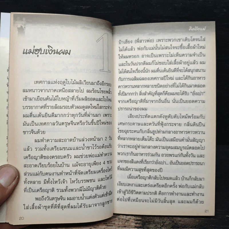 คิดถึงแม่ My Mom - วิกรม กรมดิษฐ์ รูปที่ 8