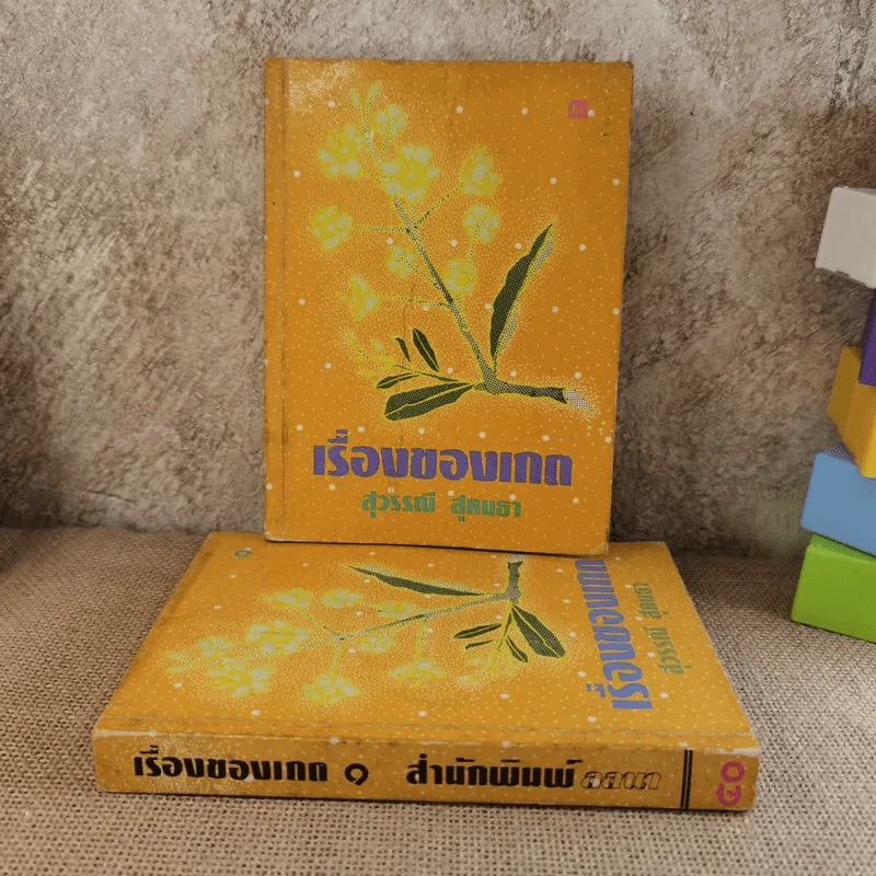 เรื่องของเกด 2 เล่มจบ - สุวรรณี สุคนธา รูปที่ 1