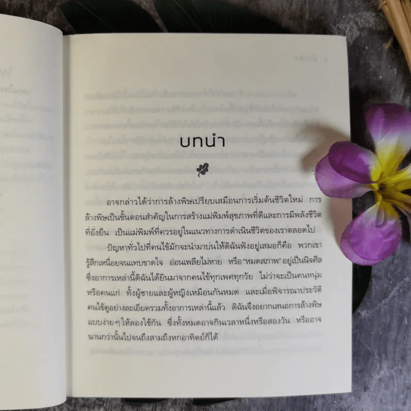 ล้างพิษ ฟื้นสุขภาพและพลังแห่งชีวิต - เพเนโลป ซาช รูปที่ 11