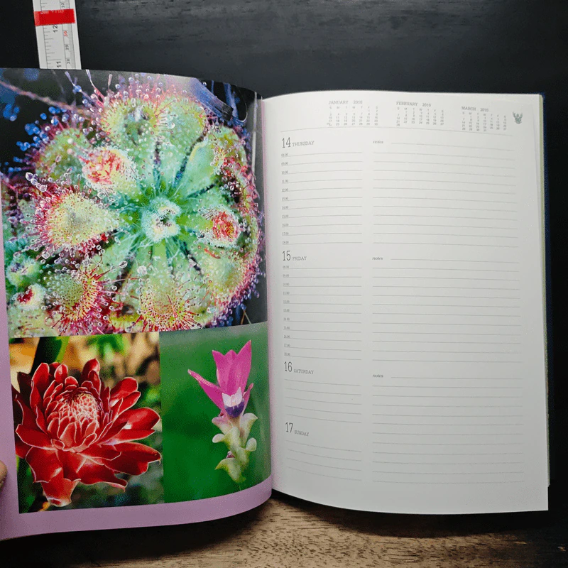 Thailand Executive Diary 2010 รูปที่ 11