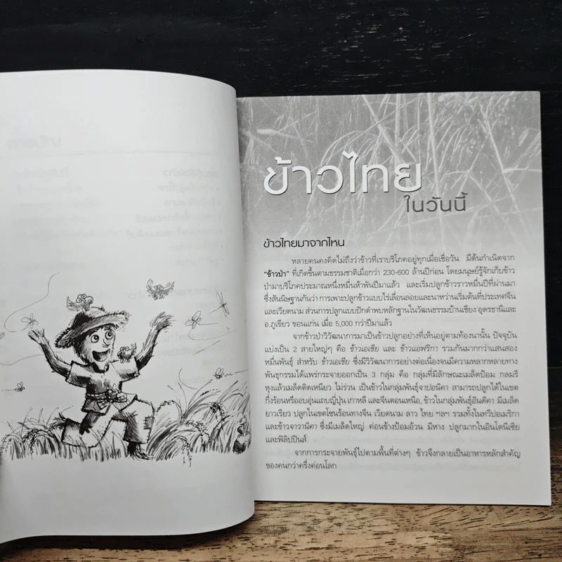 ข้าวอินทรีย์ รูปที่ 8