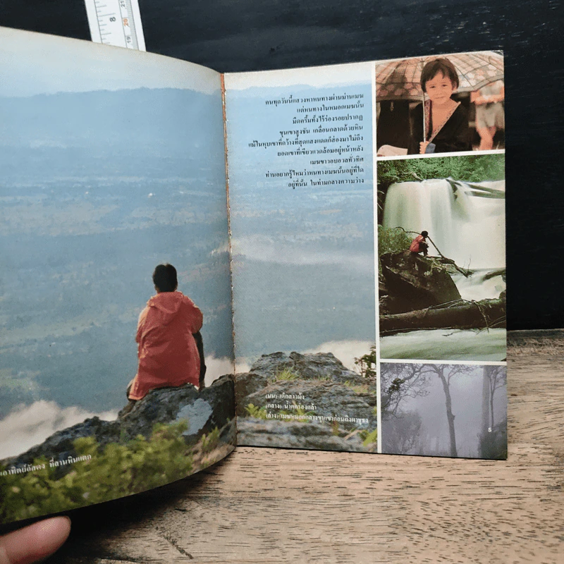 ท่องโลก ฉบับแนะนำ ภูหินร่องกล้า รูปที่ 5