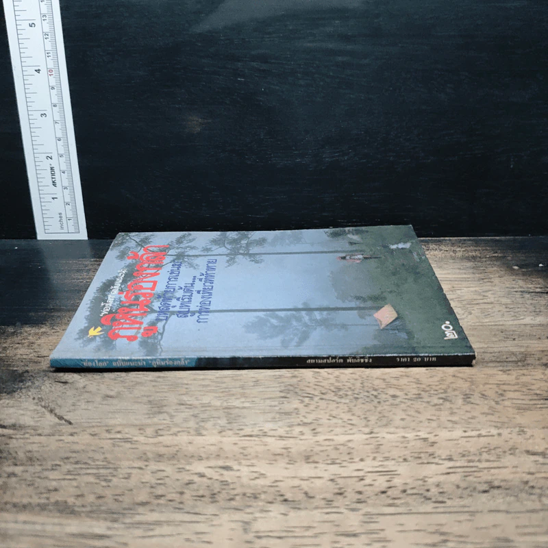ท่องโลก ฉบับแนะนำ ภูหินร่องกล้า รูปที่ 2