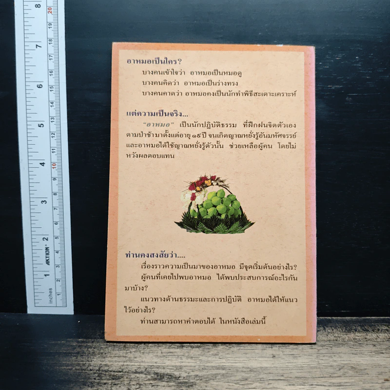 ธรรมปฏิบัติของ อาหมอ ผู้สานต่อเส้นทางธรรม ฉบับรวมเล่ม รูปที่ 2
