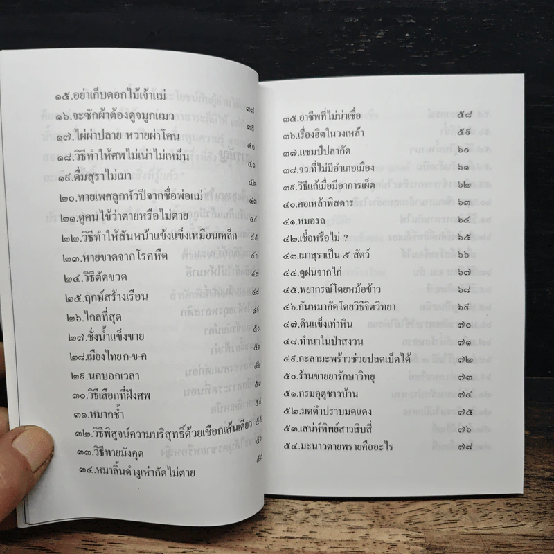 ชุด ขุมทรพย์เมืองไทย ตอน เมืองไทยมหัศจรรย์ รูปที่ 8