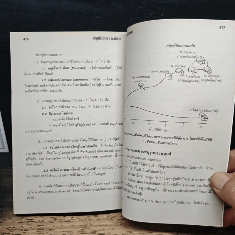 สรุปชีววิทยา ม.ปลาย ม.4-ม.5-ม.6 รูปที่ 10