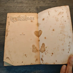 The Professor - Charlotte Brontë รูปที่ 7