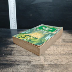 The Summer Tree - Guy Gavriel Kay รูปที่ 4