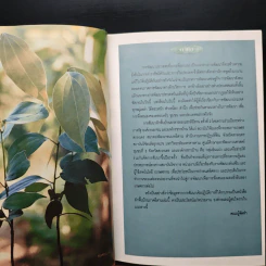 ผักพื้นบ้านภาคอีสาน รูปที่ 7