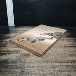 พลายจำปา - Theodore J. Waldeck, ลมุล รัตตากร รูปที่ 4
