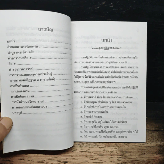 การปฏิบัติวิปัสสนา - ทับทิม วงค์ประยูร รูปที่ 7