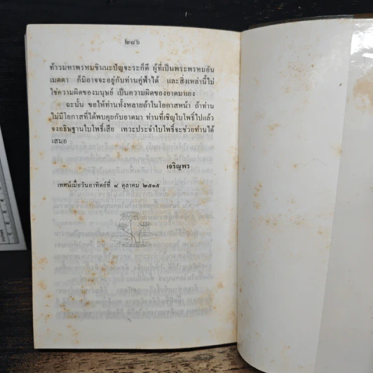 ธรรมะ จากดวงวิญญาณบริสุทธิ์ หลวงปู่ทวด : เหยียบน้ำทะเลจืด รูปที่ 10