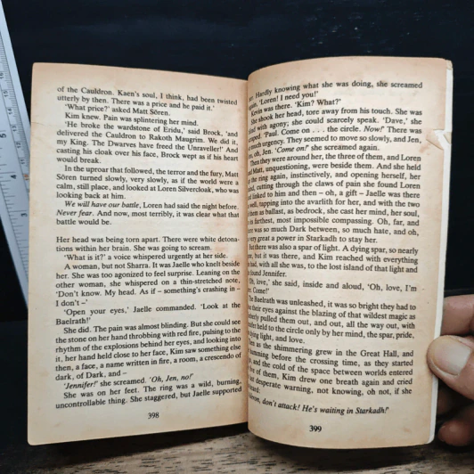 The Summer Tree - Guy Gavriel Kay รูปที่ 8