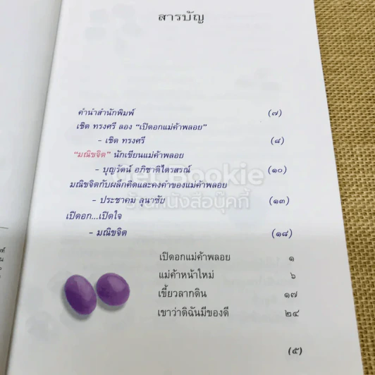 เปิดอกแม่ค้าพลอย รูปที่ 7