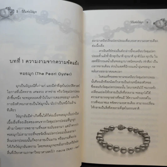 วิถีแห่งไข่มุก Path of the Pearl รูปที่ 11