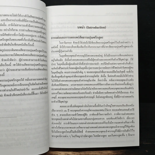 พระพุทธศาสนาเพื่อโลกสมัยใหม่ รูปที่ 12