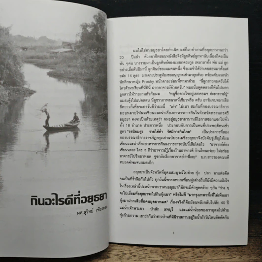 กินอะไรดีที่อยุธยา - สุวิทย์ เทียรทอง รูปที่ 8
