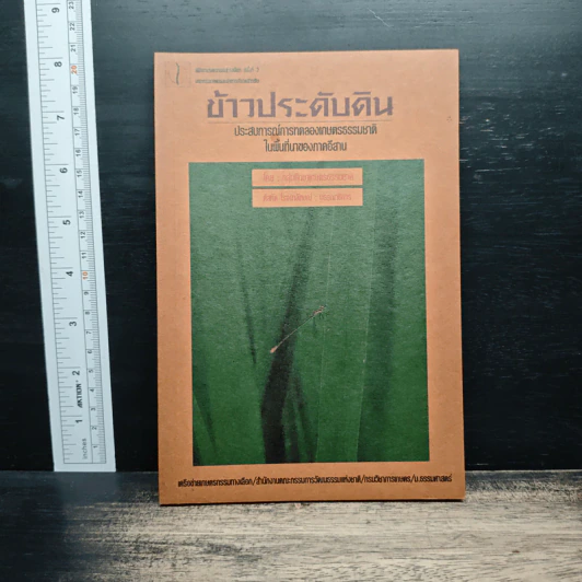 ข้าวประดับดิน - กลุ่มศึกษาเกษตรกรรมธรรมชาติ รูปที่ 1