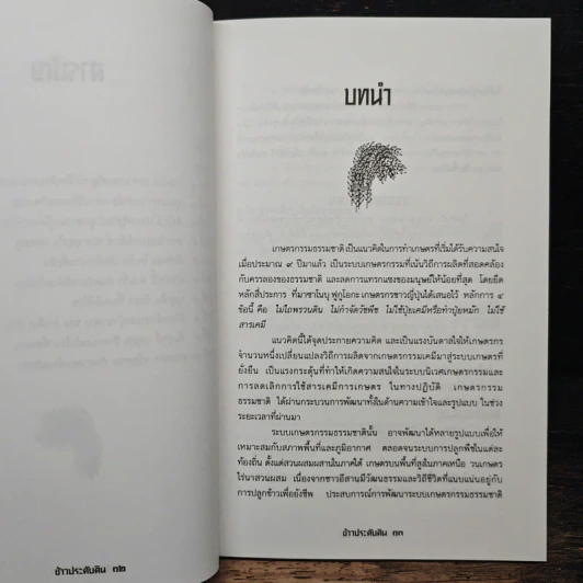 ข้าวประดับดิน - กลุ่มศึกษาเกษตรกรรมธรรมชาติ รูปที่ 8