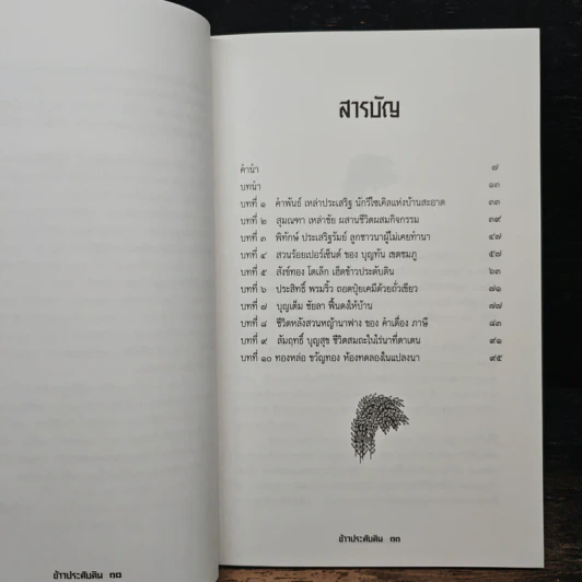 ข้าวประดับดิน - กลุ่มศึกษาเกษตรกรรมธรรมชาติ รูปที่ 7