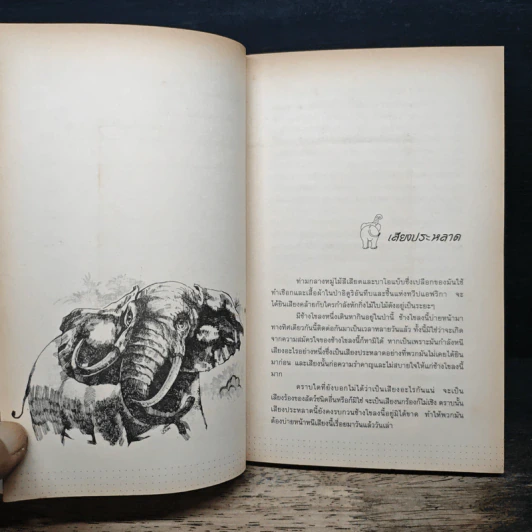 พลายจำปา - Theodore J. Waldeck, ลมุล รัตตากร รูปที่ 7