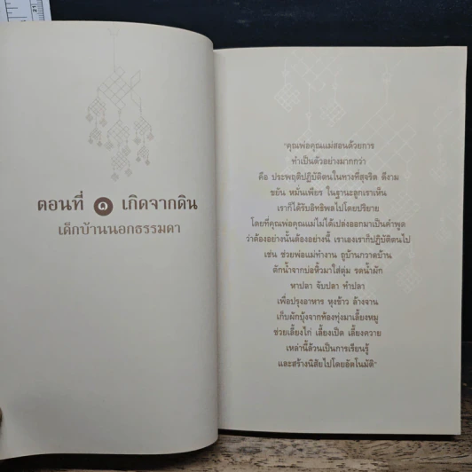 คุยเรื่องชีวิตธรรมดา - ไพบูลย์ วัฒนศิริธรรม รูปที่ 10