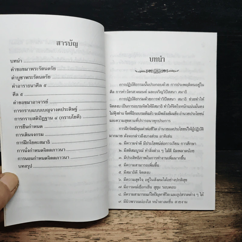 การปฏิบัติวิปัสสนา - ทับทิม วงค์ประยูร รูปที่ 7