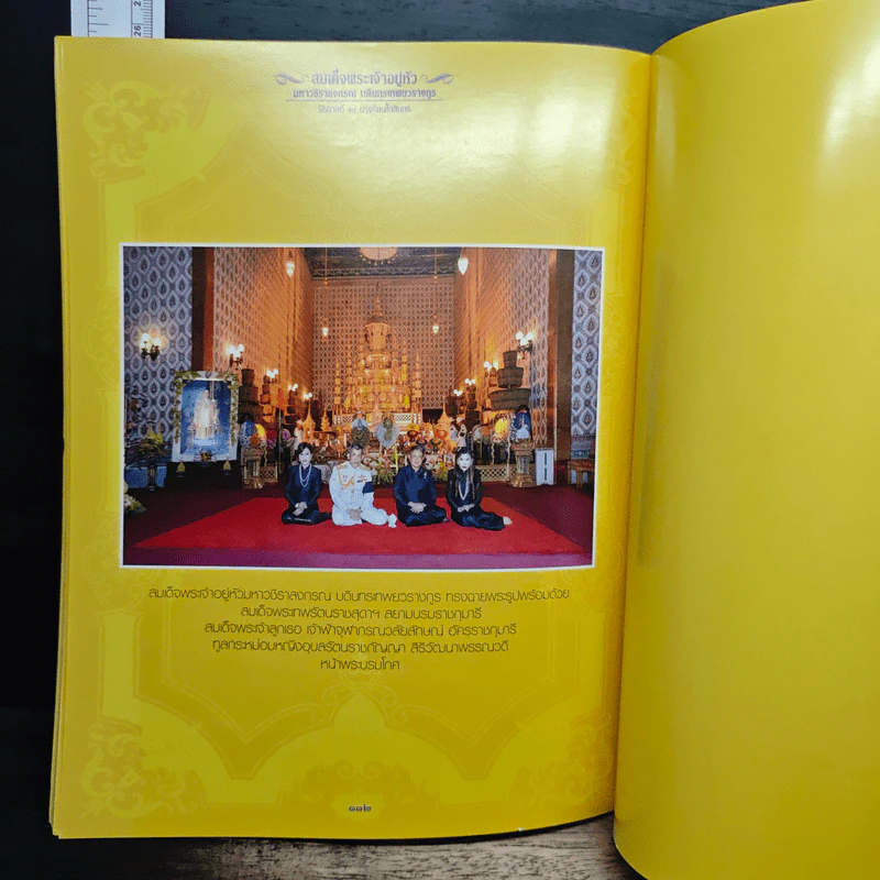 สมเด็จพระเจ้าอยู่หัว มหาวชิราลงกรณ บดินทรเทพยวรางกูร รูปที่ 8