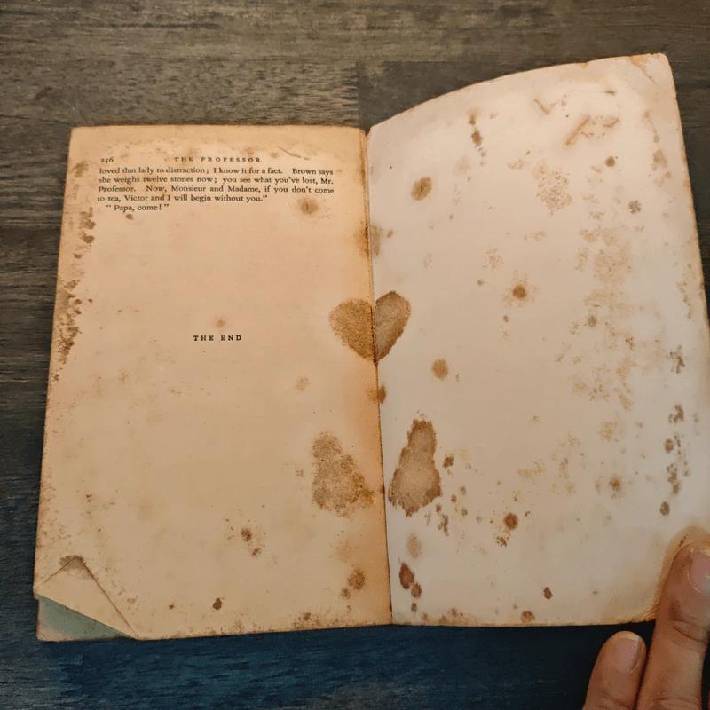 The Professor - Charlotte Brontë รูปที่ 7