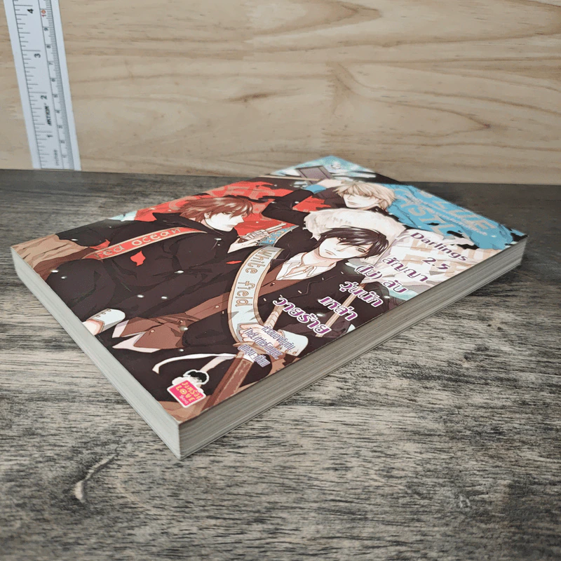 Darlings 2.5 สัญญา (ไม่) ลับ วุ่นนักเหล่าวายร้าย - หัวสมองตีบตัน รูปที่ 3