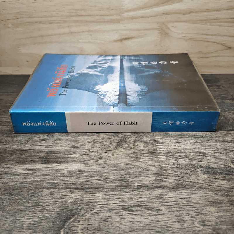 พลังแห่งนิสัย The Power of Habit รูปที่ 2