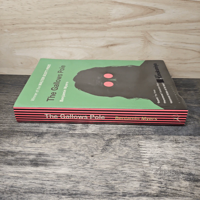 The Gallows Pole - Benjamin Myers รูปที่ 2