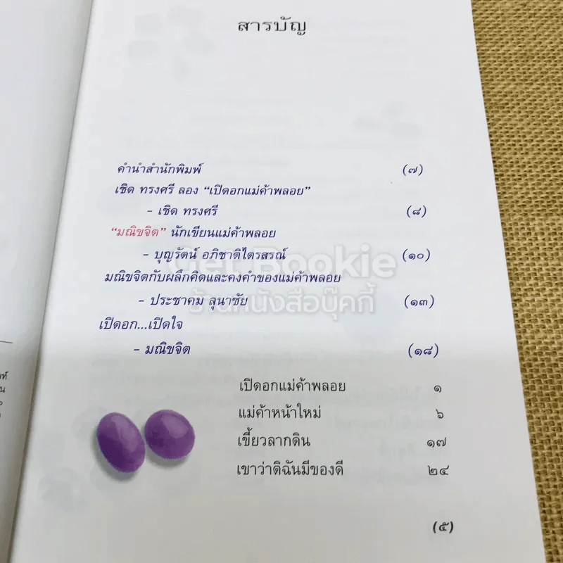 เปิดอกแม่ค้าพลอย รูปที่ 7