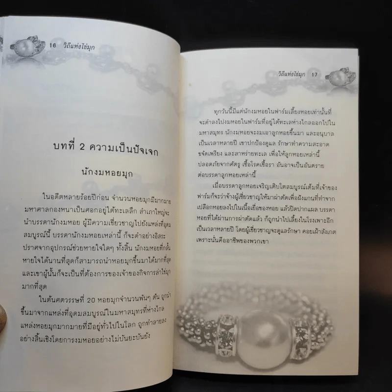 วิถีแห่งไข่มุก Path of the Pearl รูปที่ 12