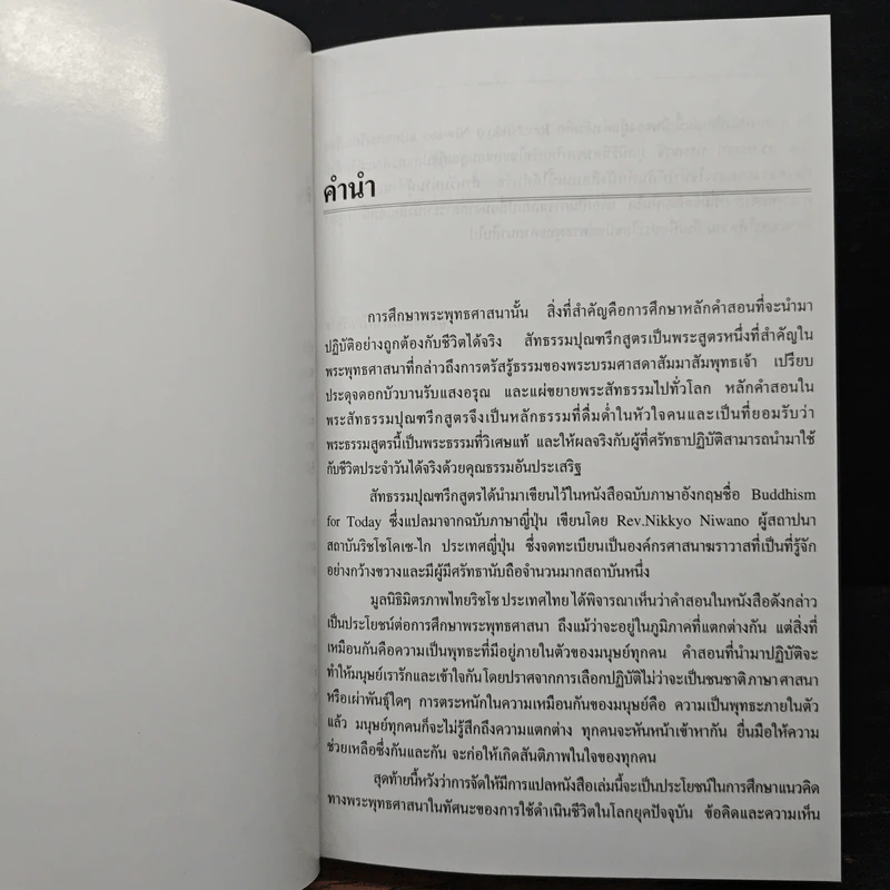 พระพุทธศาสนาเพื่อโลกสมัยใหม่ รูปที่ 7